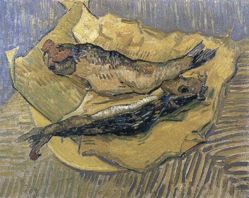Vincent Van Gogh herrings oil painting picture